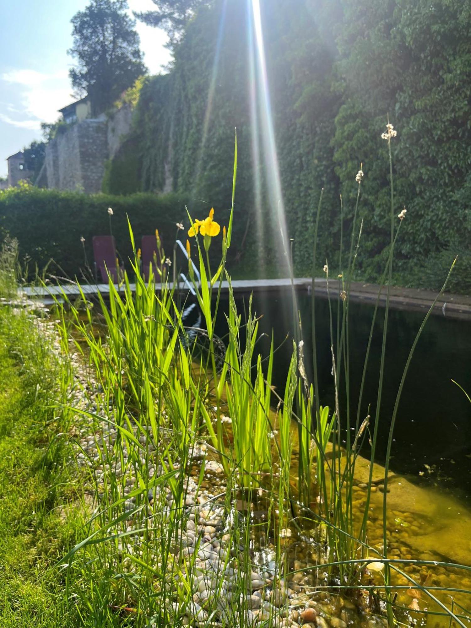 Zum Goldenen Anker 3*